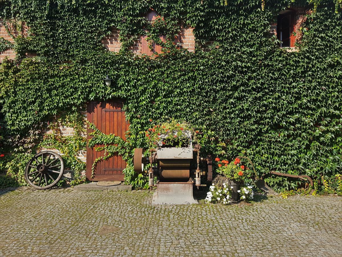 Leniwka Hotel Świebodzin Kültér fotó